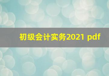 初级会计实务2021 pdf